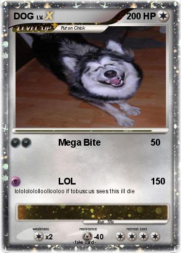 Pokemon DOG