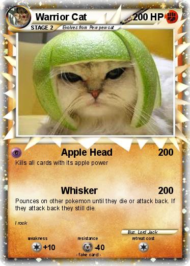 Pokemon Warrior Cat