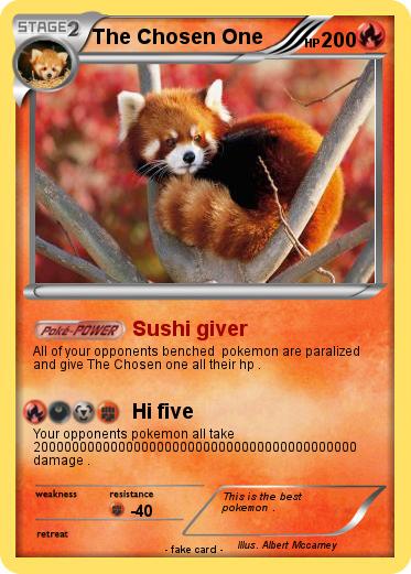 Pokemon The Chosen One