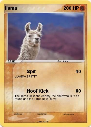 Pokemon llama