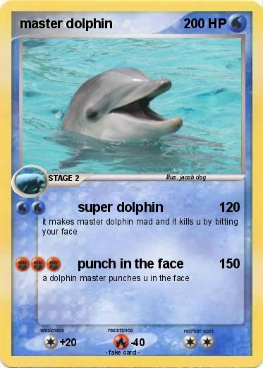 Pokemon master dolphin