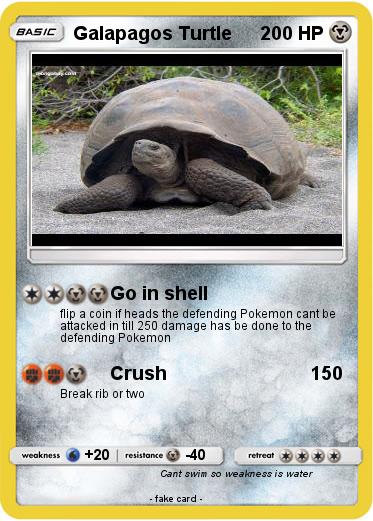 Pokemon Galapagos Turtle