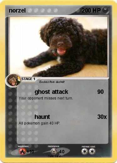 Pokemon norzel