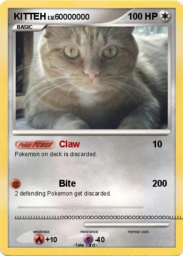 Pokemon KITTEH