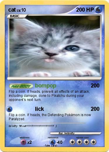 Pokemon cat