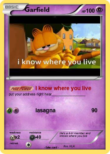 Pokemon Garfield