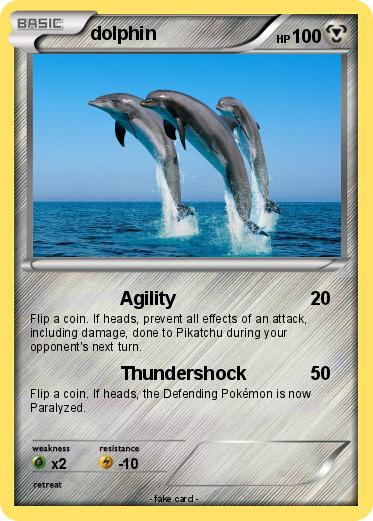 Pokemon dolphin