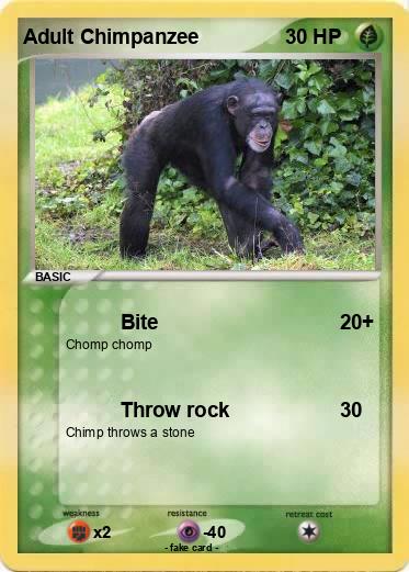 Pokemon Adult Chimpanzee