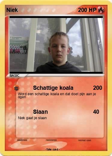 Pokemon Niek