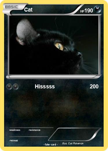 Pokemon Cat