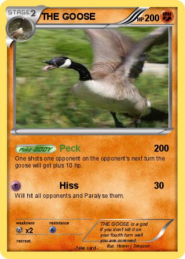 Pokemon THE GOOSE