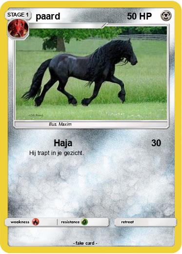 Pokemon paard