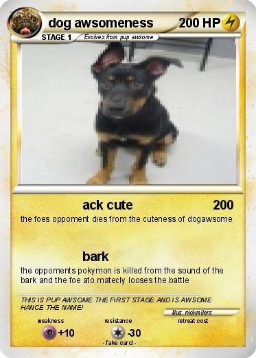 Pokemon dog awsomeness