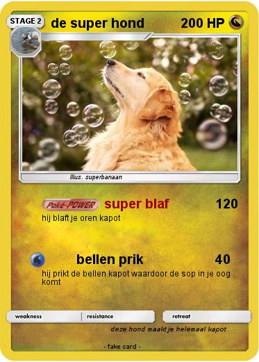 Pokemon de super hond