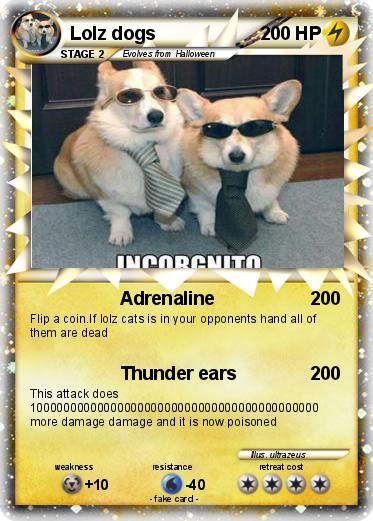 Pokemon Lolz dogs