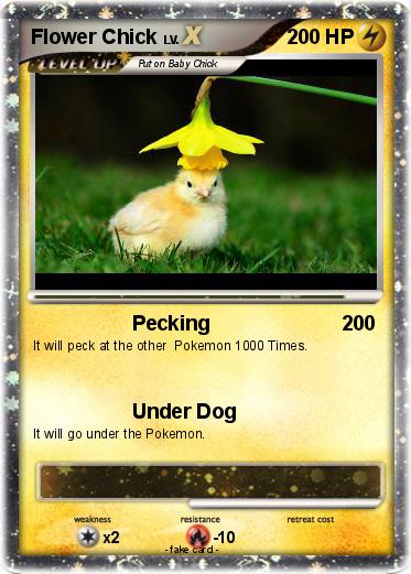 Pokemon Flower Chick