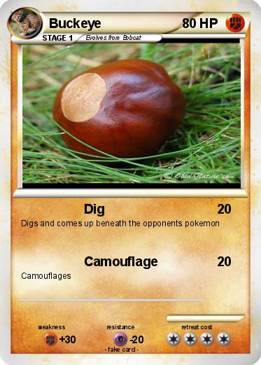 Pokemon Buckeye
