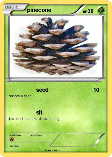 Pokemon pinecone