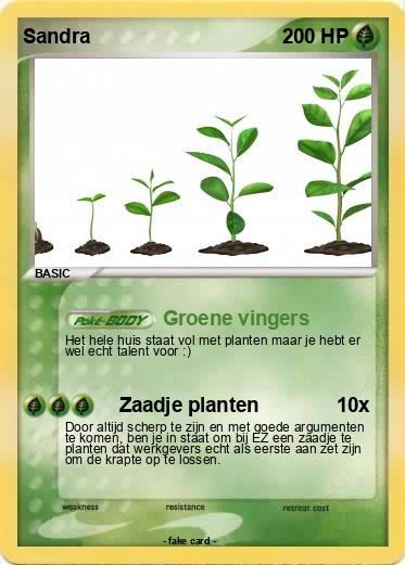 Pokemon Sandra