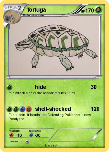 Pokemon Tortuga