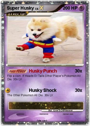Pokemon Super Husky