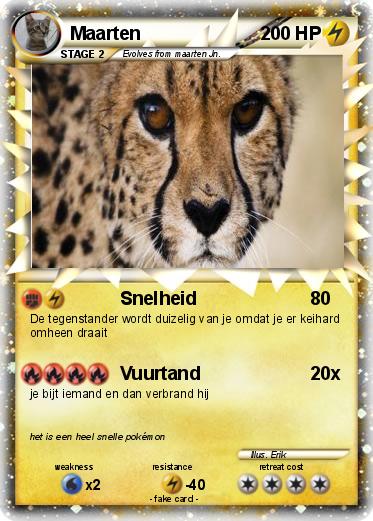 Pokemon Maarten