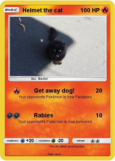 Pokemon Helmet the cat