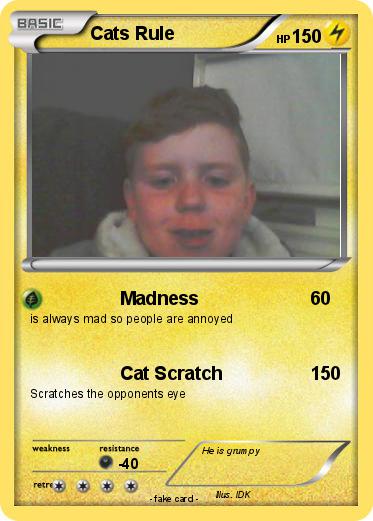 Pokemon Cats Rule