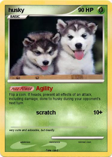 Pokemon husky
