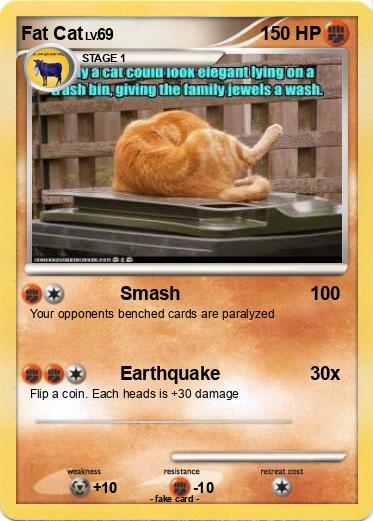 Pokemon Fat Cat