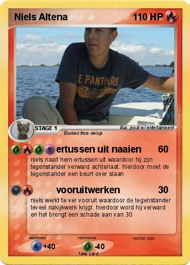 Pokemon Niels Altena