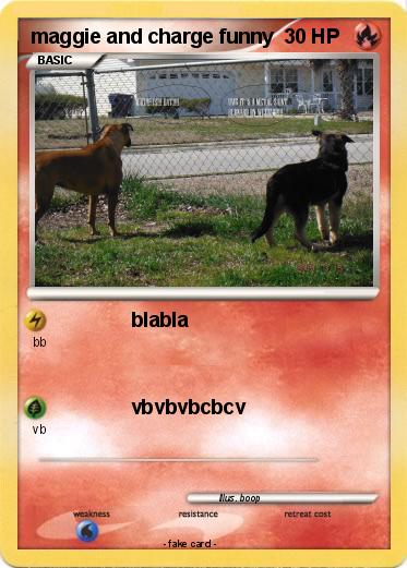 Pokemon maggie and charge funny