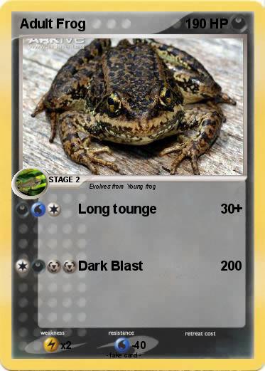 Pokemon Adult Frog