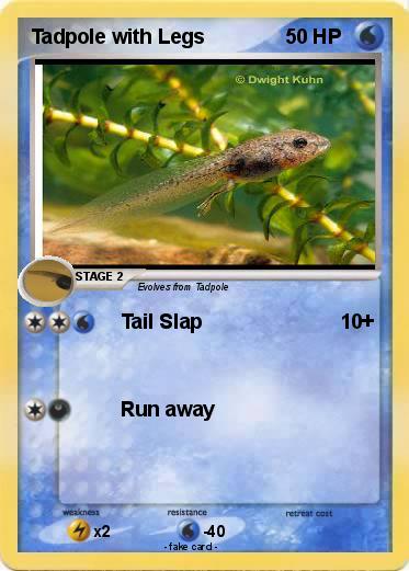 Pokemon Tadpole with Legs