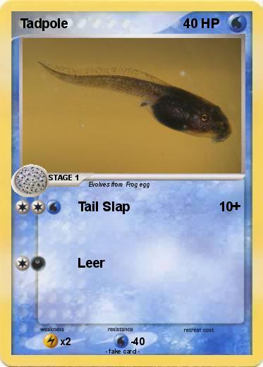 Pokemon Tadpole