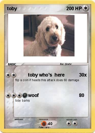 Pokemon toby