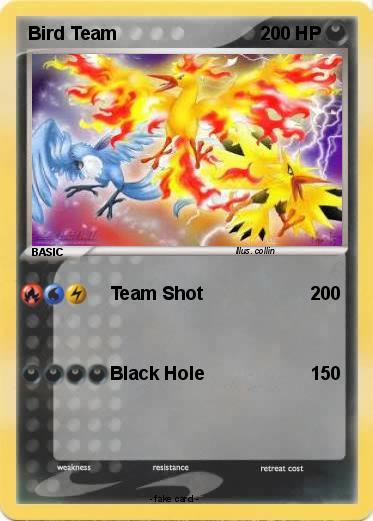 Pokemon Bird Team
