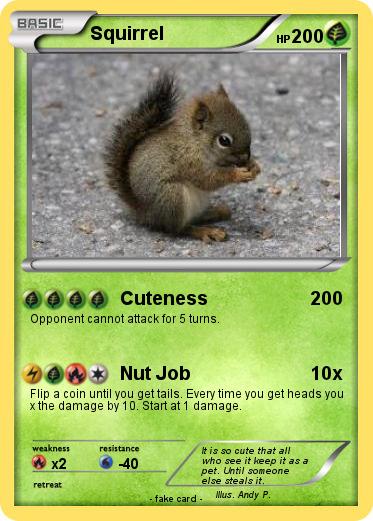 Pokemon Squirrel