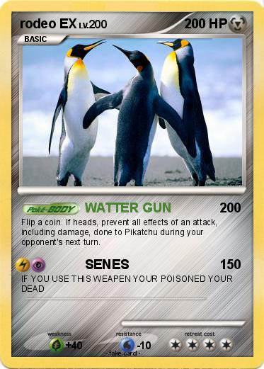 Pokemon rodeo EX