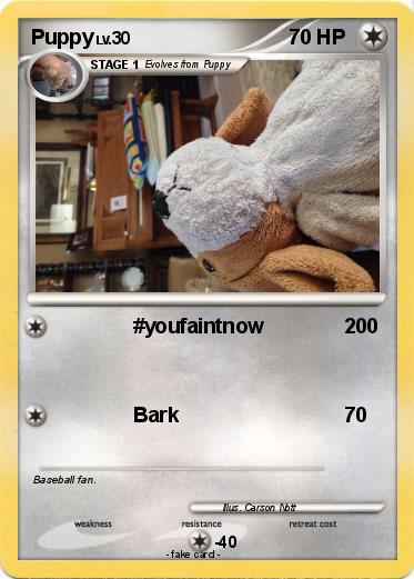Pokemon Puppy