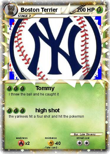 Pokemon Boston Terrier