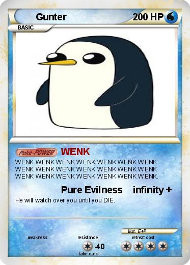 Pokemon Gunter
