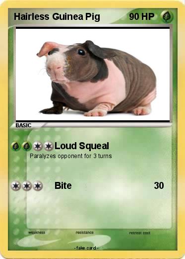 Pokemon Hairless Guinea Pig