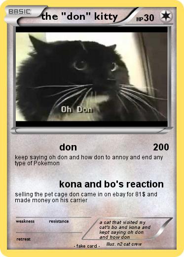 Pokemon the "don" kitty