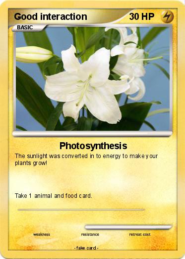 Pokemon Good interaction