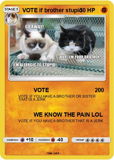 Pokemon VOTE if brother stupid