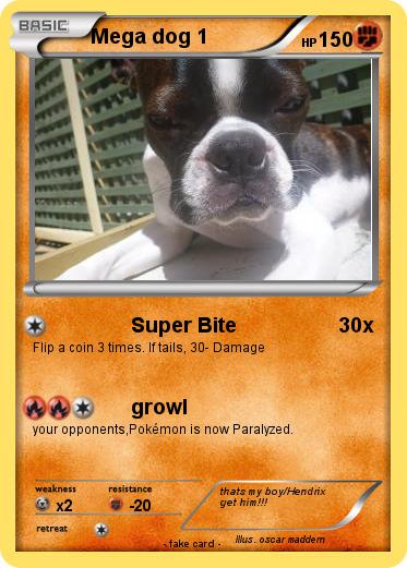 Pokemon Mega dog 1