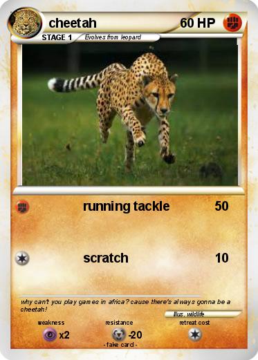 Pokemon cheetah