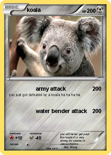 Pokemon koala