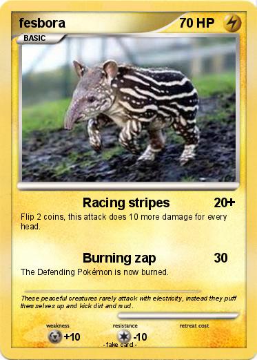 Pokemon fesbora